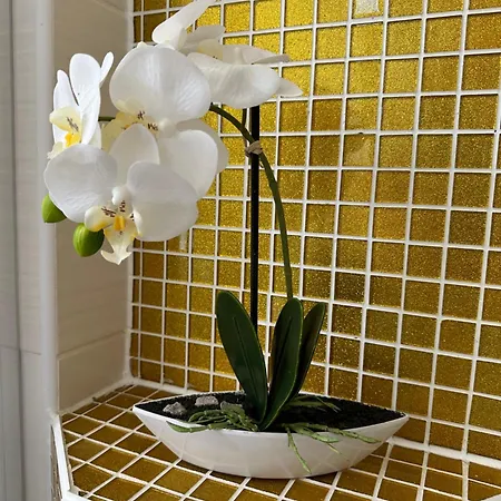 Villa-harmonie Apartment